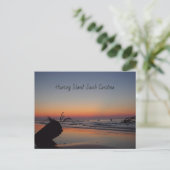 Jagdinsel Sunrise Postkarte (Stehend Vorderseite)