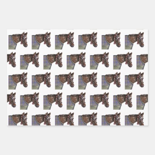 Jagdklubpferd, Tack, Pferdeschuh Geschenkpapier Set (Vorderseite)