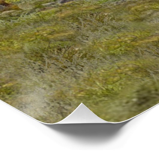 Jagdpartridge Poster (Ecke)