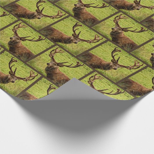 Jagdrotwildmuster Geschenkpapier (Ecke)