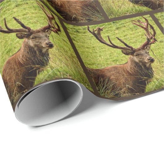 Jagdrotwildmuster Geschenkpapier (Rolleneckpunkt)
