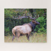 Jagdsaison - BullElch - 16x20 Zoll Puzzle (Horizontal)