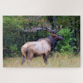 Jagdsaison - BullenElch - 20x30 Zoll Puzzle (Horizontal)