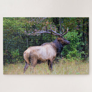 Jagdsaison - BullenElch - 20x30 Zoll Puzzle