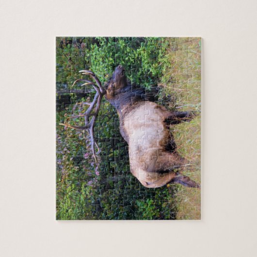 Jagdsaison - BullenElch - 8x10 Puzzle (Vertikal)