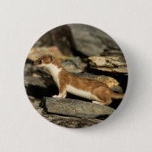 Jagdschaf Button (Vorderseite)
