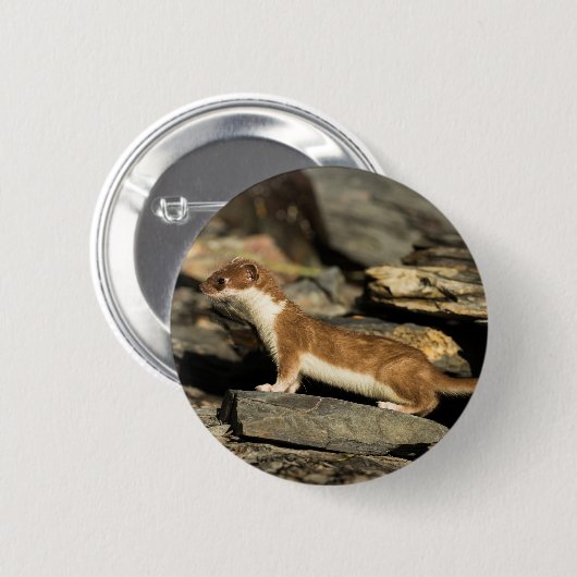 Jagdschaf Button (Vorne & Hinten)