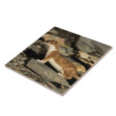 Jagdschaf Fliese (Seite)