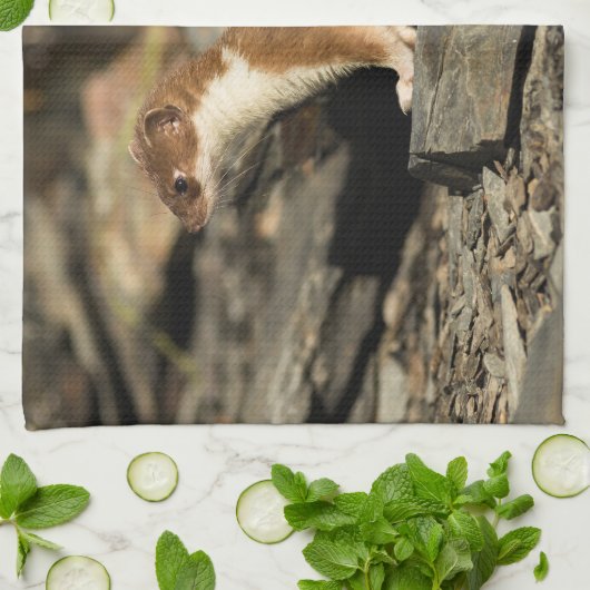 Jagdschaf Geschirrtuch (Gefaltet)