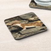 Jagdschaf Getränkeuntersetzer (Linke Seite)