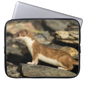 Jagdschaf Laptopschutzhülle (Vorderseite)