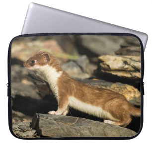 Jagdschaf Laptopschutzhülle