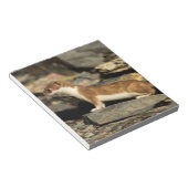 Jagdschaf Notizblock (angewinkelt)