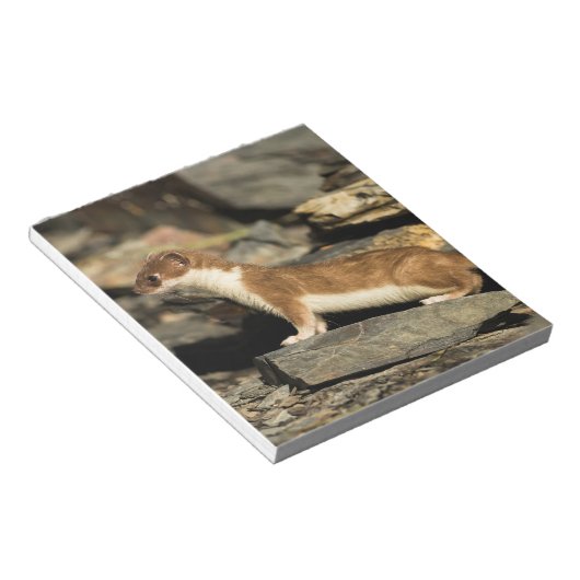 Jagdschaf Notizblock (angewinkelt)