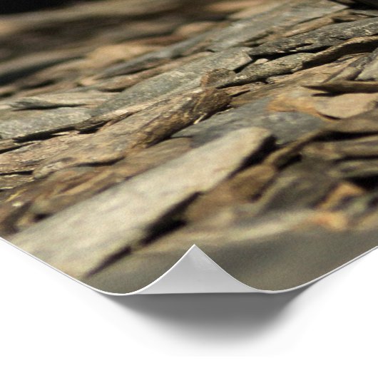 Jagdschaf Poster (Ecke)