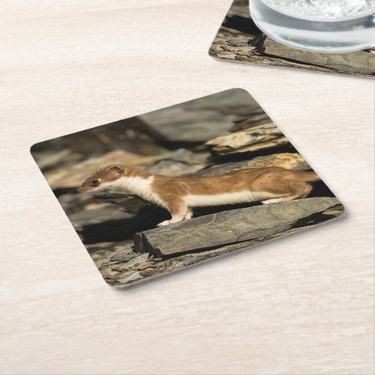 Jagdschaf Rechteckiger Pappuntersetzer (angewinkelt)