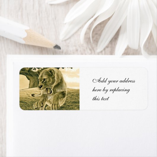 Jagdschlösser (Insitu)