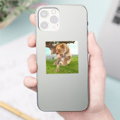 Jagdschlösser Aufkleber (Telefon)