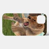 Jagdschlösser Case-Mate iPhone Hülle (Rückseite (Horizontal))