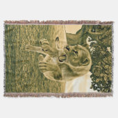 Jagdschlösser Decke (Vorderseite)