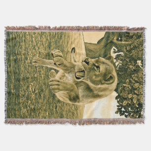 Jagdschlösser Decke