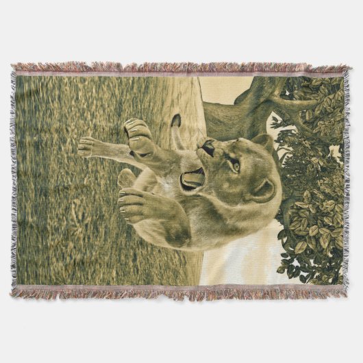 Jagdschlösser Decke (Vorderseite)