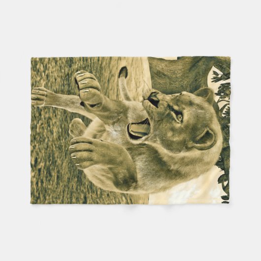 Jagdschlösser Fleecedecke (Vorderseite (Horizontal))