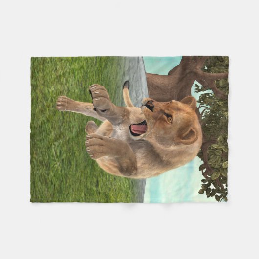 Jagdschlösser Fleecedecke (Vorderseite (Horizontal))