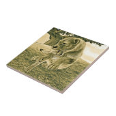 Jagdschlösser Fliese (Seite)