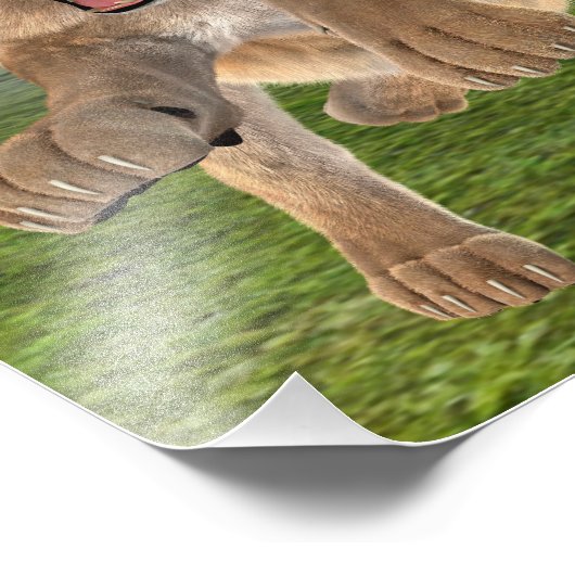 Jagdschlösser Fotodruck (Ecke)