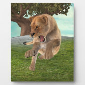 Jagdschlösser Fotoplatte (Vorderseite)