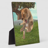 Jagdschlösser Fotoplatte (Seite)