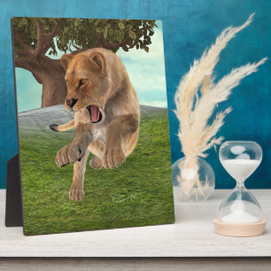 Jagdschlösser Fotoplatte