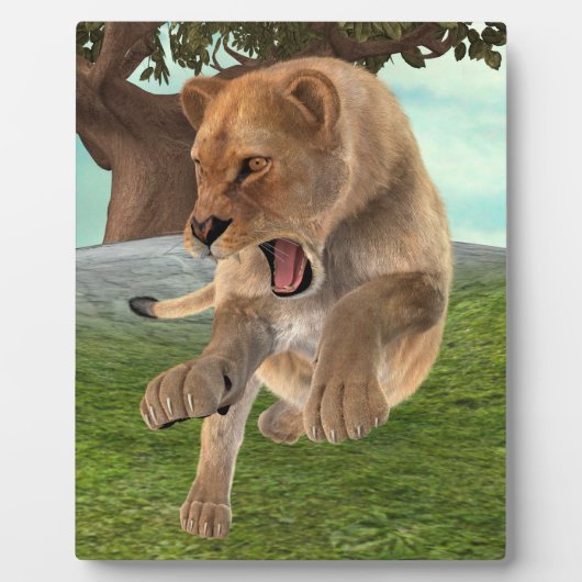 Jagdschlösser Fotoplatte (Vorderseite)