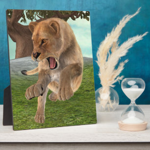 Jagdschlösser Fotoplatte