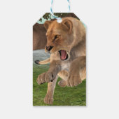 Jagdschlösser Geschenkanhänger (Rückseite)
