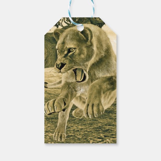 Jagdschlösser Geschenkanhänger (Rückseite)