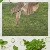 Jagdschlösser Geschirrtuch (Gefaltet)