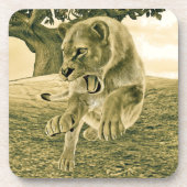 Jagdschlösser Getränkeuntersetzer (Vorderseite)