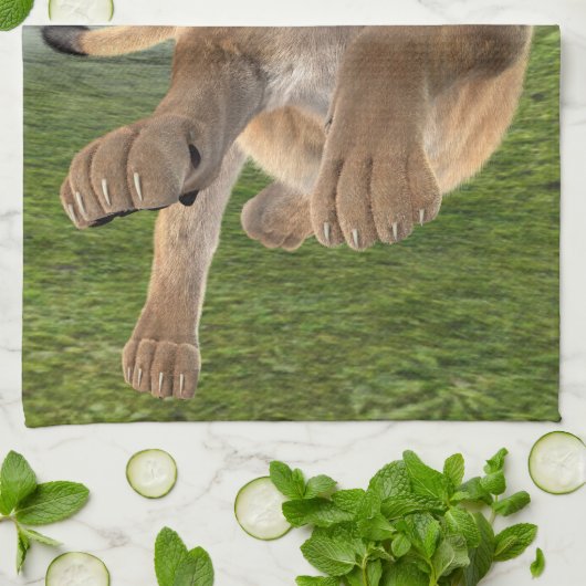 Jagdschlösser Handtuch (Gefaltet)