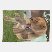 Jagdschlösser Handtuch (Horizontal)