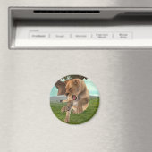 Jagdschlösser Magnet (In Situ (Geschirrspüler))