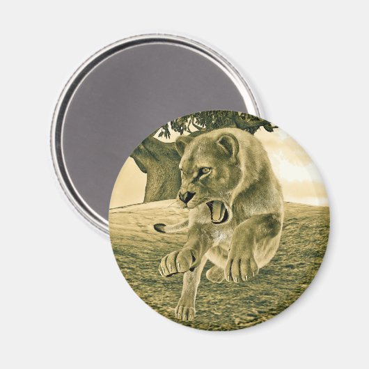 Jagdschlösser Magnet (Vorderseite/Rückseite)