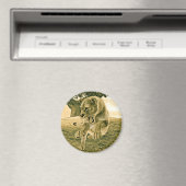 Jagdschlösser Magnet (In Situ (Geschirrspüler))