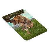 Jagdschlösser Magnet (Rechte Seite)