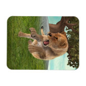 Jagdschlösser Magnet (Horizontal)