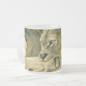 Jagdschlösser Mattglastasse (Vorderseite Links)