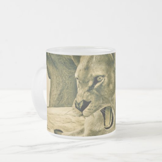 Jagdschlösser Mattglastasse (Vorderseite Links)