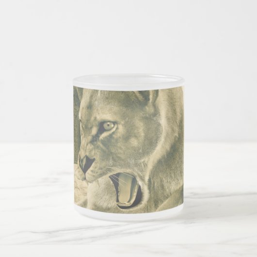 Jagdschlösser Mattglastasse (Mittel)