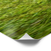 Jagdschlösser Poster (Ecke)